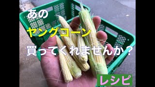 【レシピ】ヤングコーンの美味しい食べ方　ヒゲの天ぷら　素揚げ