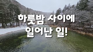 하룻밤 사이에 오대산 월정사 금강연 얼음이 다 사라졌어요.ㅣ2024.2.20(화)