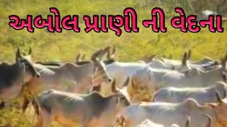 અબોલ પ્રાણી ની વેદના