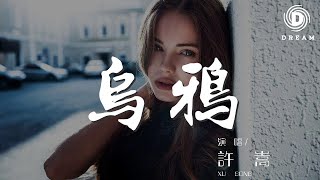 許嵩 - 烏鴉『當我又飛到這裏 俯瞰着模糊山頂』【動態歌詞Lyrics】