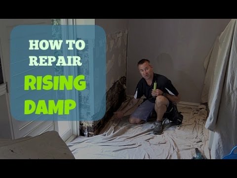 How To Repair Rising Damp In A Wall. How To Repair Rising Damp In A Wall.