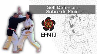 Nihon Taï Jitsu - Sabre de Main - EFNTJ