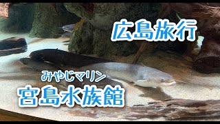 【広島旅行】厳島神社近くの『宮島水族館』へ行ってきました♪