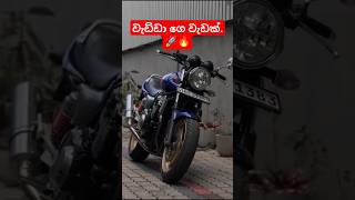 වැඩ්ඩා හදපු සුපිරි බඩු.🚀🔥 | #srilanka #tiktok #trending