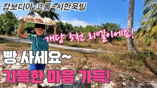 코롱(Koh Rong)의 마지막 날 그리고 다음날 시한욱빌(Sihanoukville) 까지 (태국,캄보디아,베트남 배낭여행 16)