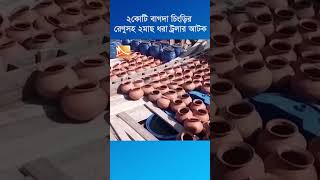 পটুয়াখালীর মহিপুরে দুই কোটি বাগদা চিংড়ির রেনুসহ দুটি মাছধরা ট্রলার আটক #shortsvideo #viral #ytshorts