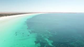 Perfect South Australian beach