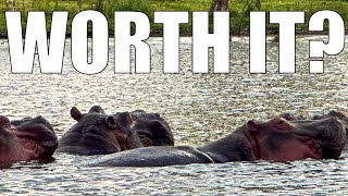 Lake Naivasha Worth It? Hippo and Birders Dream.