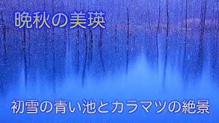 美瑛の丘をめぐる旅～2024晩秋編～最終日