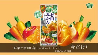 2021年11月23日　野菜生活100 有田みかんミックス