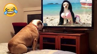Funniest Dog Reactions to Being Left Home Alone 😹🐶 | Pets Island