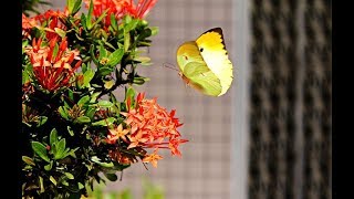 Tagesenergie - Worauf darfst du dich einstellen?