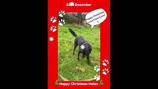 🎄 23rd December - Happy Christmas Helen! Love Coco 🎄