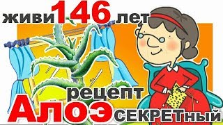 Секрет Алоэ ПРОДАН С АУКЦИОНА за + 46 лет жизни! Как применять сок Алоэ Вера СЕКРЕТНЫЙ РЕЦЕПТ.