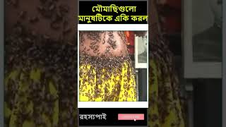 জাদুকরী বাঁশিওয়ালা | বাঁশি বাজালেই মৌমাছি গায়ে এসে বসে| Mayajaal || মায়াজাল PinikPi #shorts#SHORT