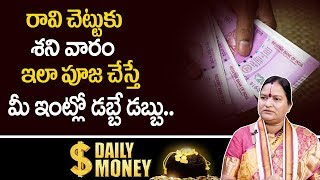 Daily Money : రావి చెట్టుకు శని వారం ఇలా పూజ చేస్తే మీ ఇంట్లో డబ్బే డబ్బు | Ravi Chettu Importance