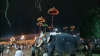 വൈക്കത്തഷ്ടമി-2023 | വൈക്കം മഹാദേവ ക്ഷേത്രം | Vaikathashtami | Vaikom Mahadeva Temple | 02-12-2023