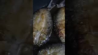 Sound Looks Familiar Asmr Fying Fresh Fish #viral #asmrftyingfish #viral #shortvideo