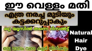 ഈ വെള്ളം ഉപയോഗിച്ച് എത്ര നരച്ചമുടിയും ഒറ്റ യൂസിൽ കറുപ്പിക്കാം|Natural Hairdye|Hair Growth /hair dye