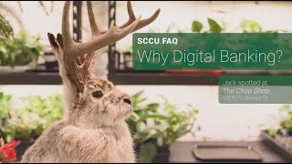 SCCU FAQ: Why Digital Banking?