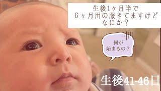 [ハワイで子育て]1ヶ月半で3度のサイズチェンジ　オムツも3-6ヶ月用がキツくなってきました