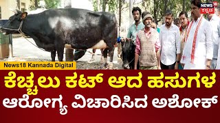 Chamarajpet Cow Incident | ಕೆಚ್ಚಲು ಕಟ್ ಆದ ಹಸುಗಳು ಆಸ್ಪತ್ರೆಗೆ ಆರ್.ಅಶೋಕ್ ಭೇಟಿ | N18V