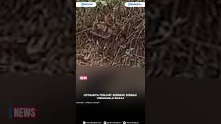 Tak Menyesal, Tertawa Saat Nonton Penemuan Mayat Korban AA di Palembang