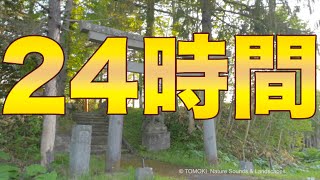 【丸一日続く作業用BGM】ひぐらしの鳴き声 / ヒーリングBGM