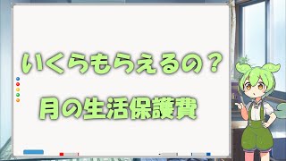 「いくらもらえるの？月の生活保護費」生活保護受給者のずんだもんが教えるのだ！　＃生活保護　＃なまぽ　＃ずんだもん　＃保護費