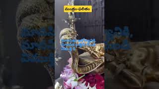 మంత్రం- ఫలితం Mantram-phalitham #viralvideo