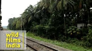 Train journey from Tirur to Pallipuram