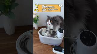 嘿，来看一下，过年过春节时准备的宠物饮水机 #pets #cat #waterfountain #养猫好物 #萌宠好物 #shorts