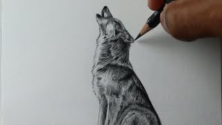 Como desenhar um Lobo uivando PASSO A PASSO narrado