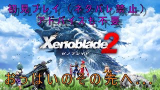 レアブレイドもあと1体！ゼノブレイド2初見プレイ！！ネタバレ、匂わせ厳禁！！【ゼノブレイド2】【ホムラ】【スマブラ】【ぱんた】