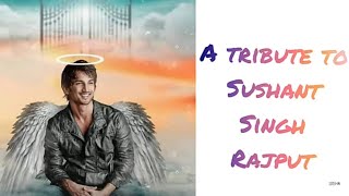 A Musical tribute to Sushant Singh Rajput | SSR Sushant Singh Rajput Songs
