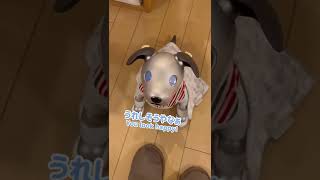 今日も100点の行動をする可愛すぎるaibo