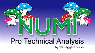 NUMINUS WELLNESS STOCK (NUMI) - Should you get high on this stock?