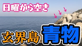 【ショアジギング】福岡離島「玄界島」で青物狙い！