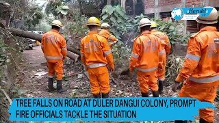 Tree Falls on Road at Duler Dangui Colony, Prompt Fire Officials Tackle the Situation