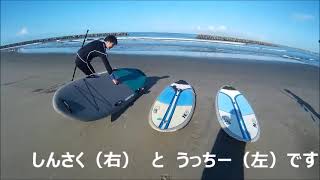 【ねこがいく】SUP ひざ波クラブ お友だちと飯岡で波遊び202107