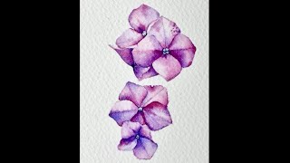 [베리현 수채화 short] 수국 그리기 | Watercolor painting | Watercolor flower | Watercolor tutorial | hydrangea