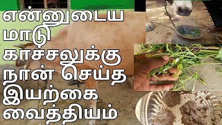 காச்சலுக்கு நான் செய்த இயற்கை வைத்தியம்|fever i done organic treatment