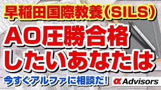 【早稲田国際教養（SILS）AO入試圧勝合格方法！】早稲田国際教養（SILS）AO圧勝合格したい方々からのご相談多数！合格実績多数！早稲田国際教養（SILS）に入りたいあなたは今すぐアルファに相談だ！