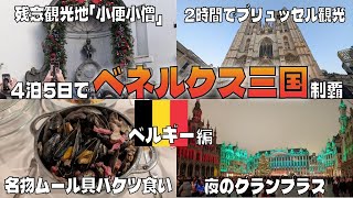 偶然仲良くなったブラジル人と一緒にブリュッセル観光【 #ベネルクス三国制覇 #2 】