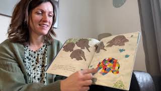 ‘Elmer in the Snow’ by David McKee. Story time with Mrs Marshall