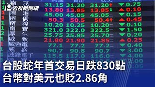 台股蛇年首交易日跌830點 台幣對美元也貶2.86角｜20250203 公視晚間新聞