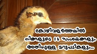 കോഴിവളർത്തലിൽ നിങ്ങളുടെ 18 സംശയങ്ങൾക്കുള്ള മറുപടി | Q \u0026 A Poultry Tips | Aviyal Media by Das Pakkat