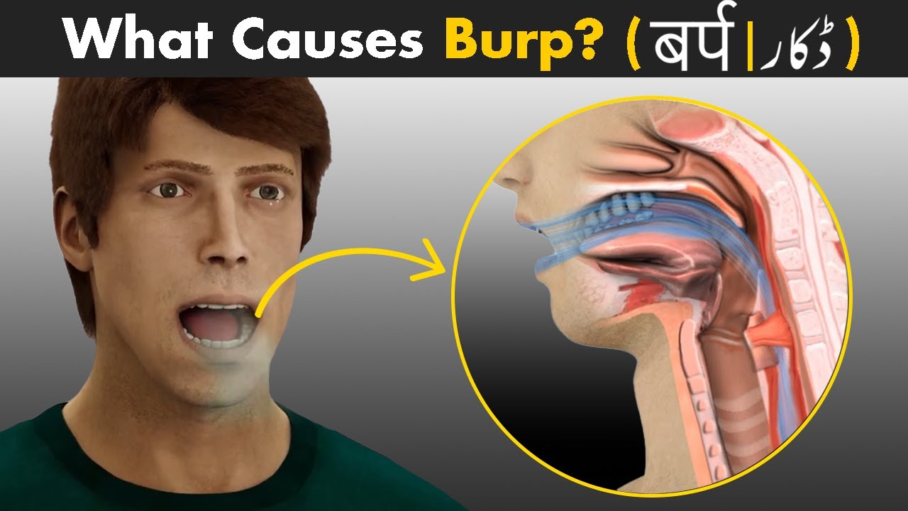 Why Do We Burp How To Reduce Burps Youtube