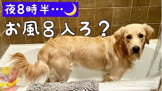 お風呂好きの愛犬が取っためげない行動がこちらw