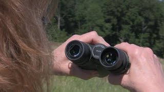 Understanding Binoculars: Fit and Focus